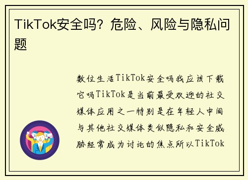 TikTok安全吗？危险、风险与隐私问题